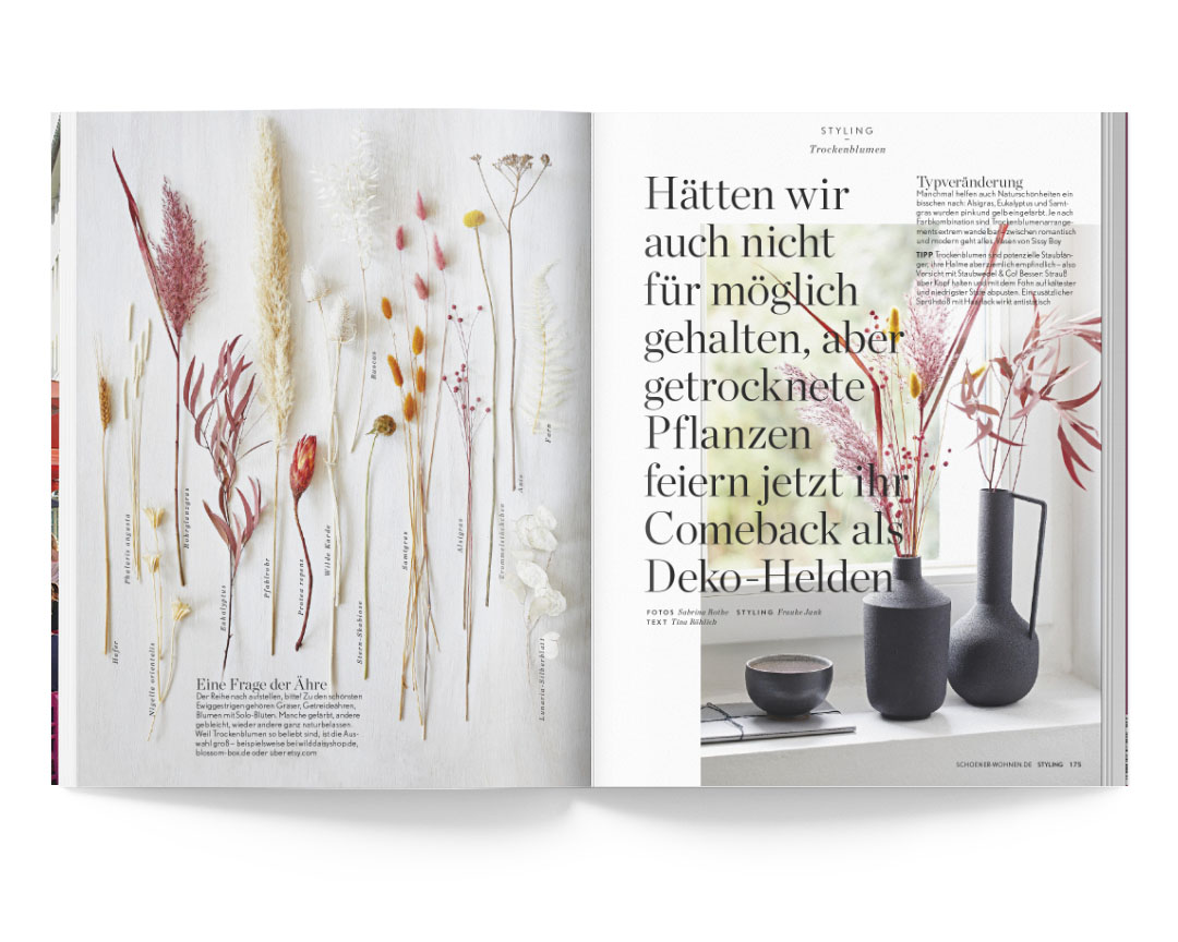 SABRINA ROTHE photography