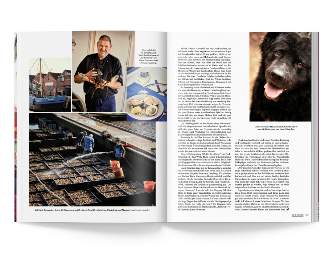 SABRINA ROTHE photography