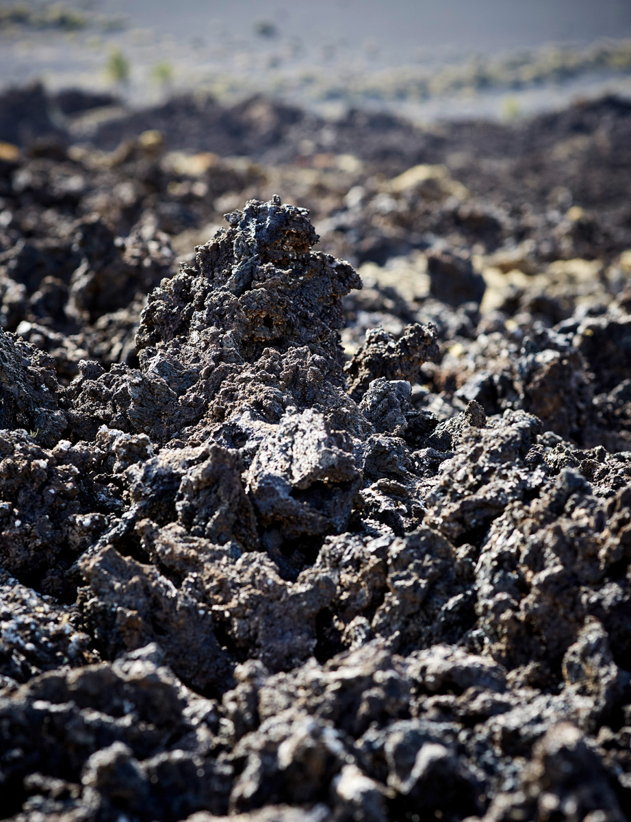 SABRINA ROTHE photography