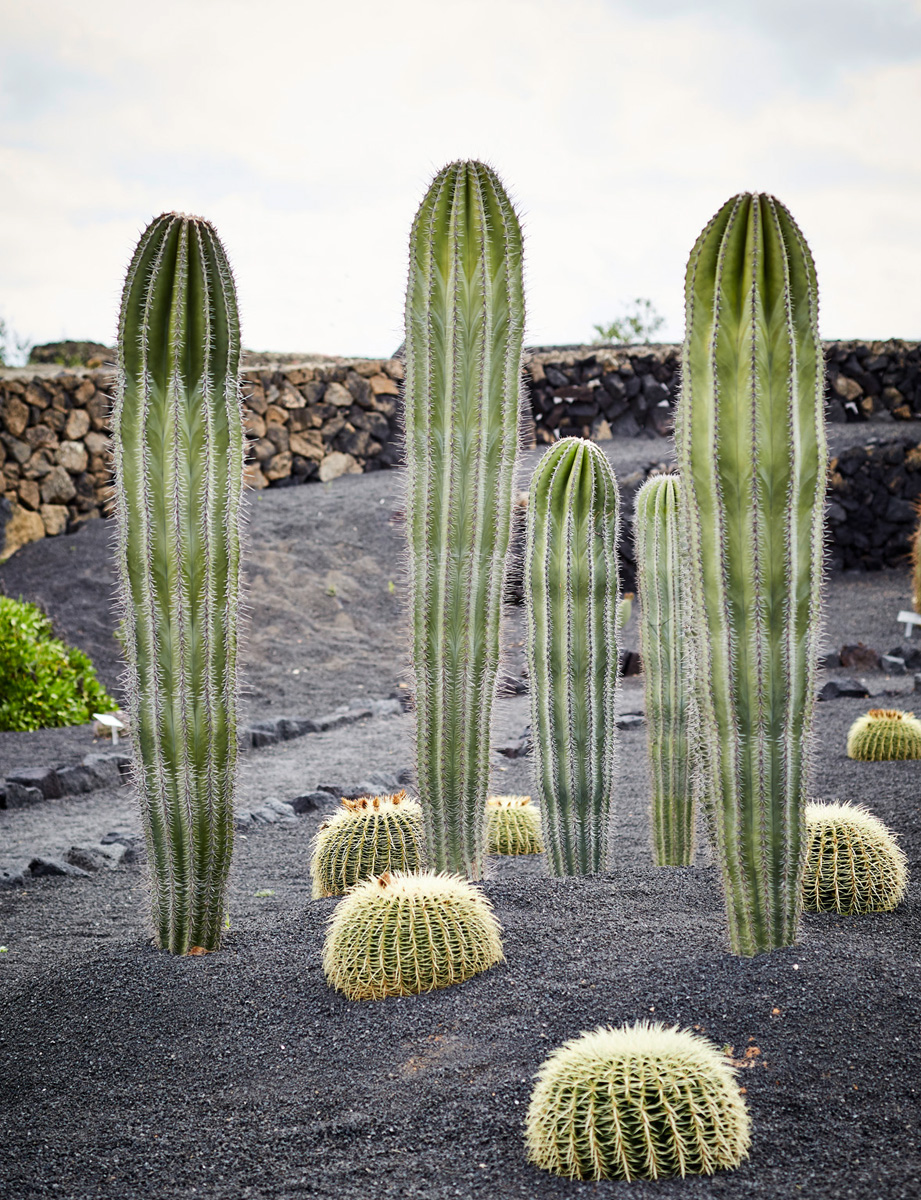 SABRINA ROTHE photography