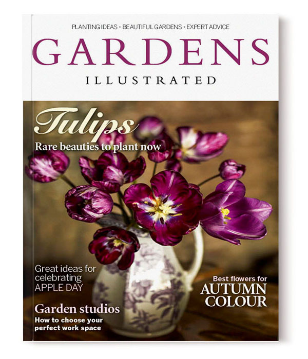 SABRINA ROTHE photography