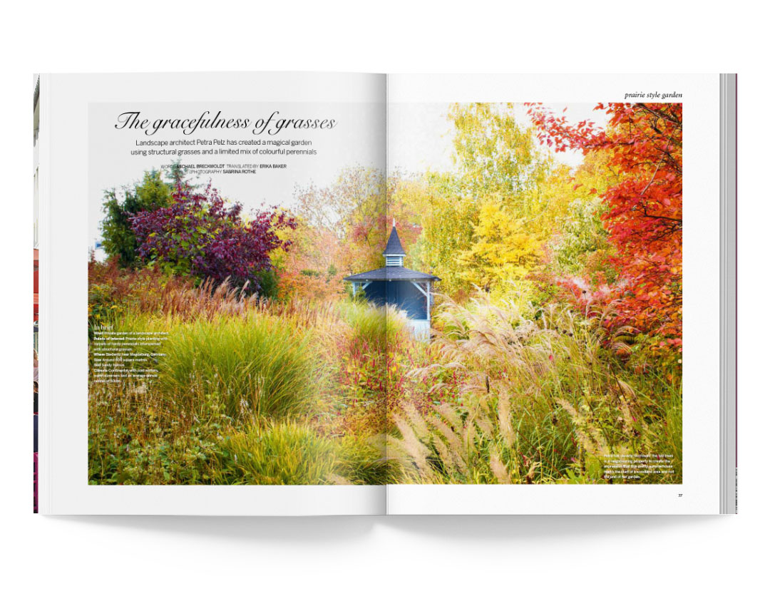 SABRINA ROTHE photography