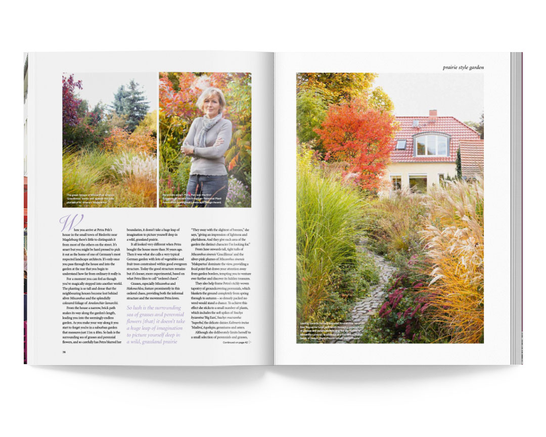 SABRINA ROTHE photography