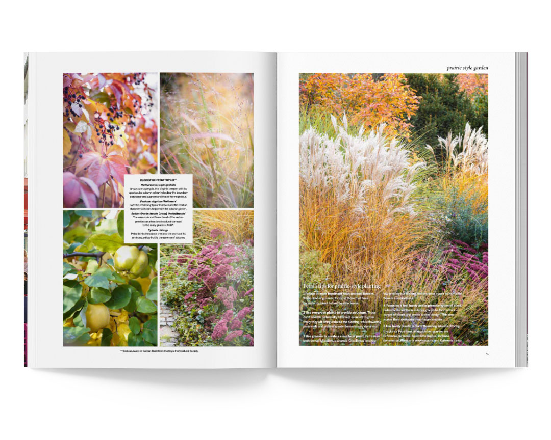 SABRINA ROTHE photography