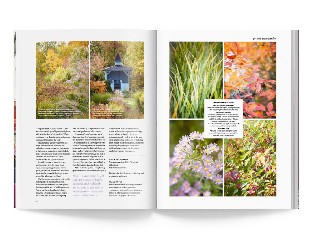 SABRINA ROTHE photography