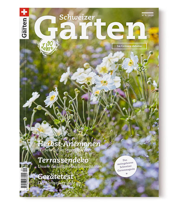 SABRINA ROTHE photography