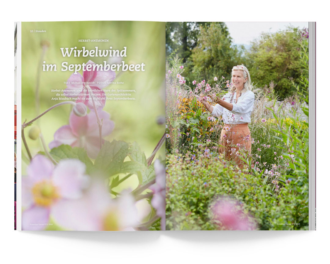 SABRINA ROTHE photography