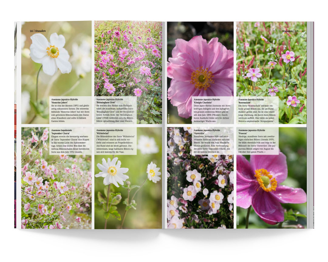 SABRINA ROTHE photography