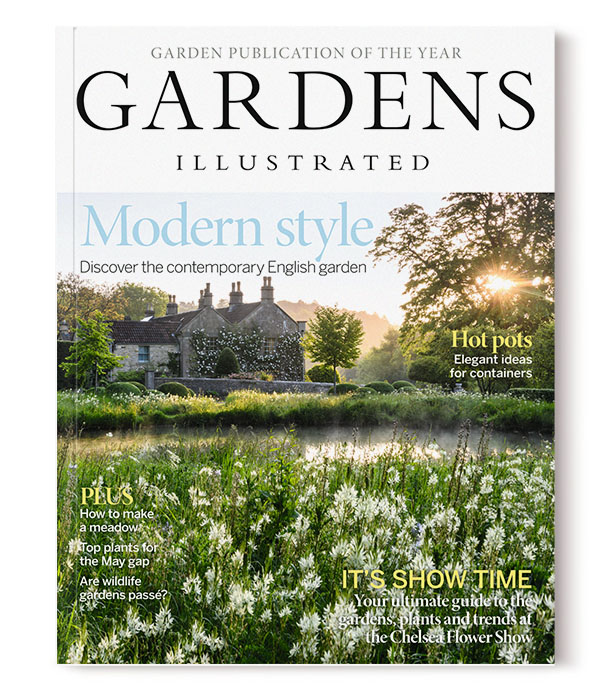 SABRINA ROTHE photography