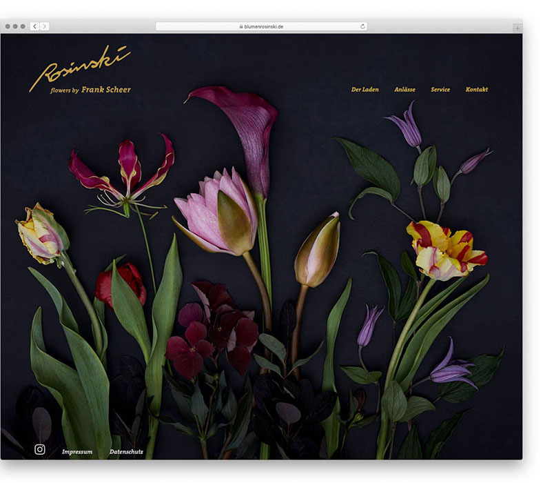 SABRINA ROTHE photography