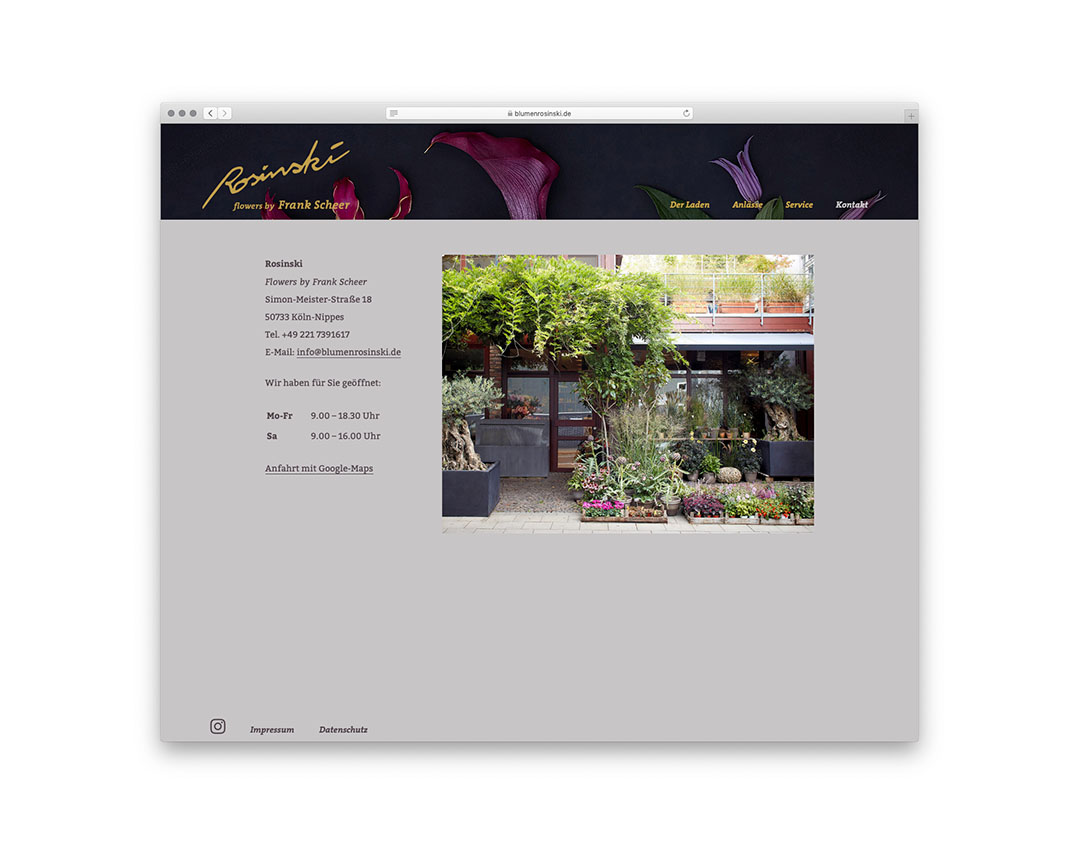 SABRINA ROTHE photography