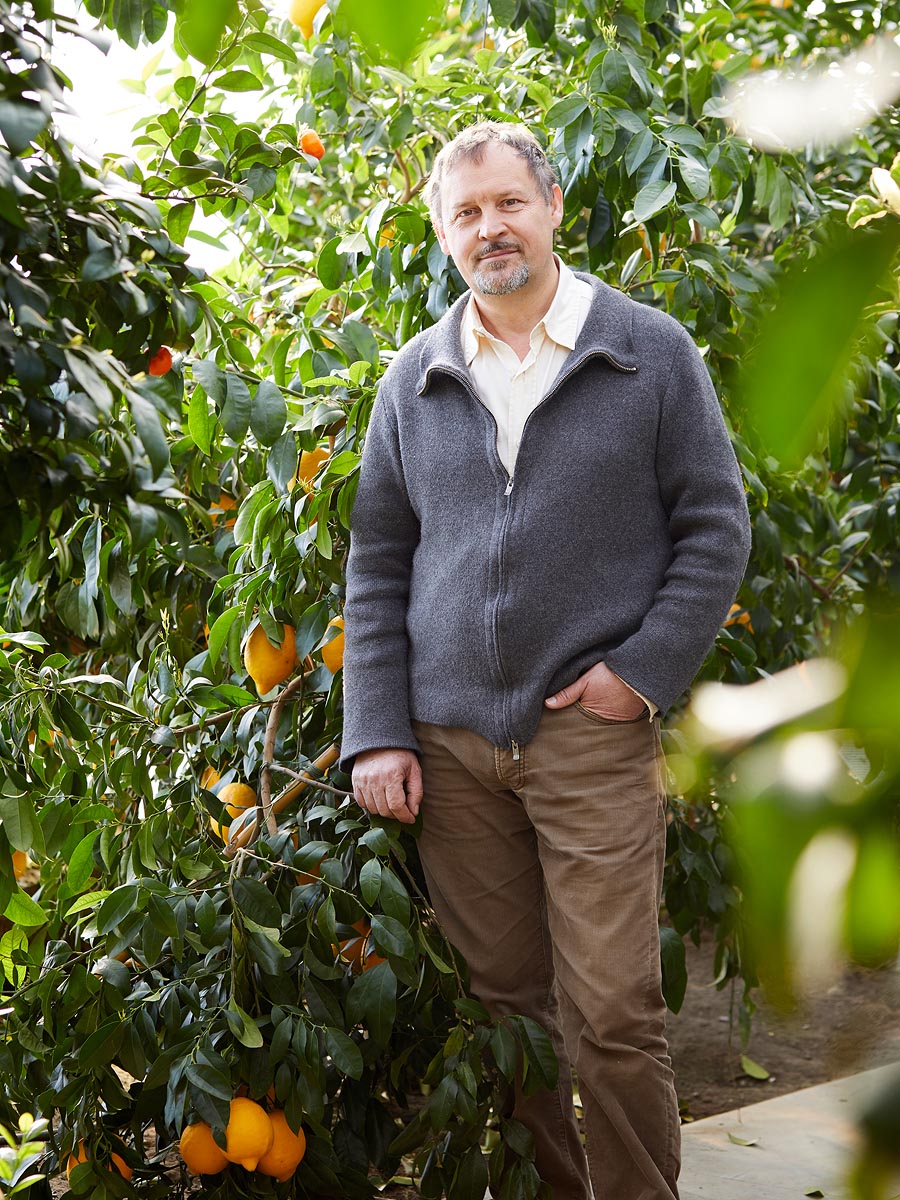 SABRINA ROTHE photography