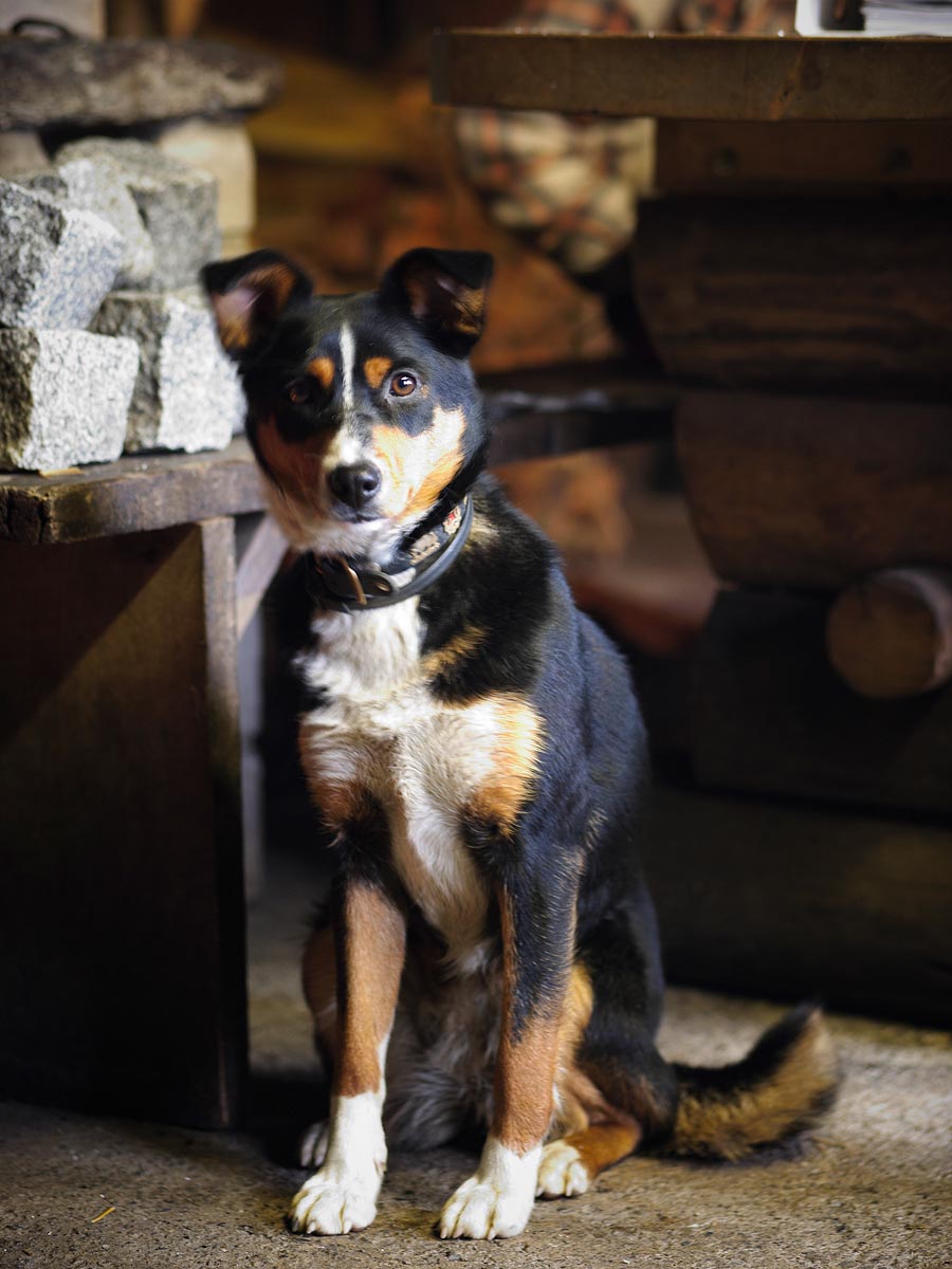 SABRINA ROTHE photography