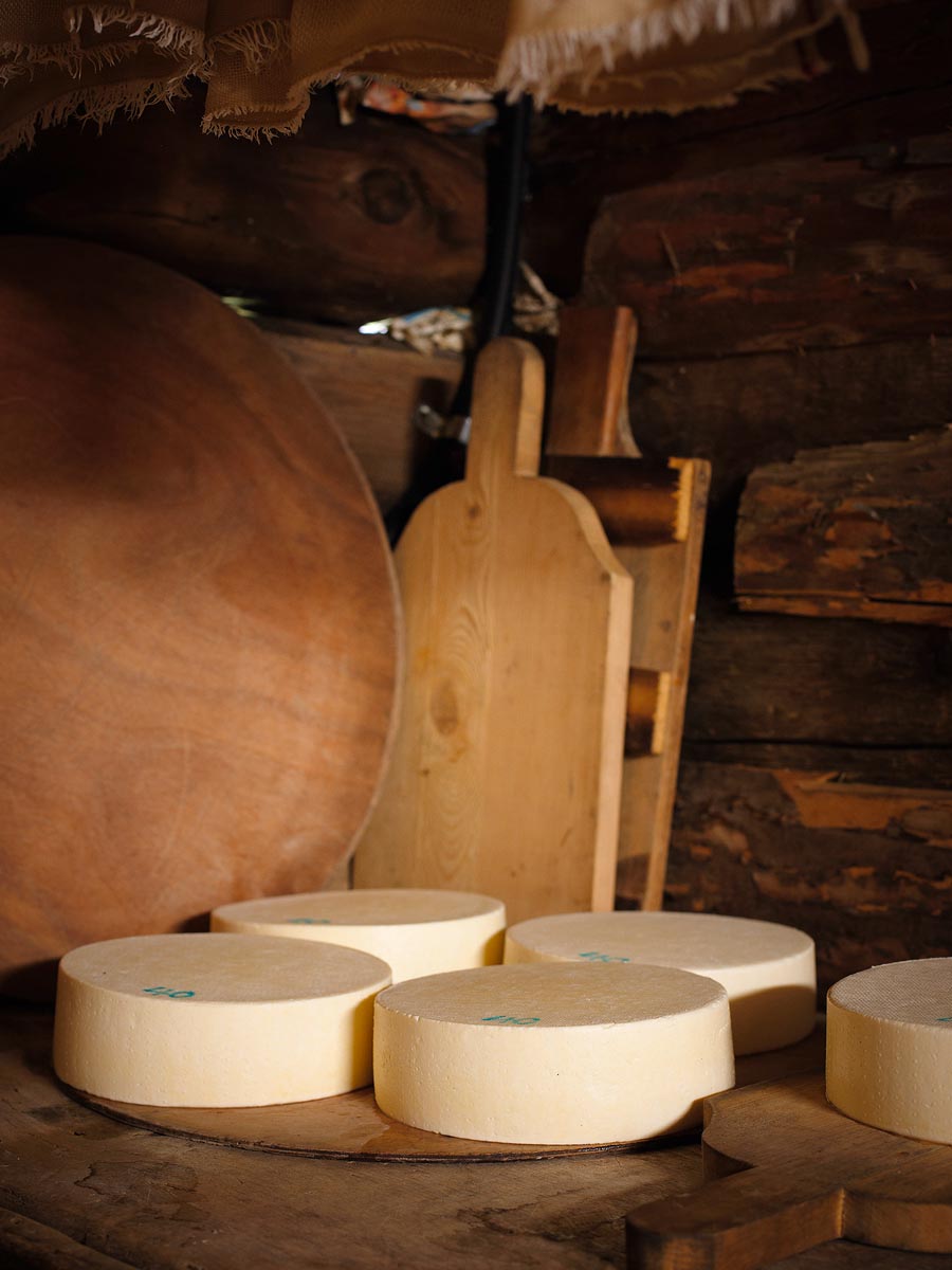 SABRINA ROTHE photography