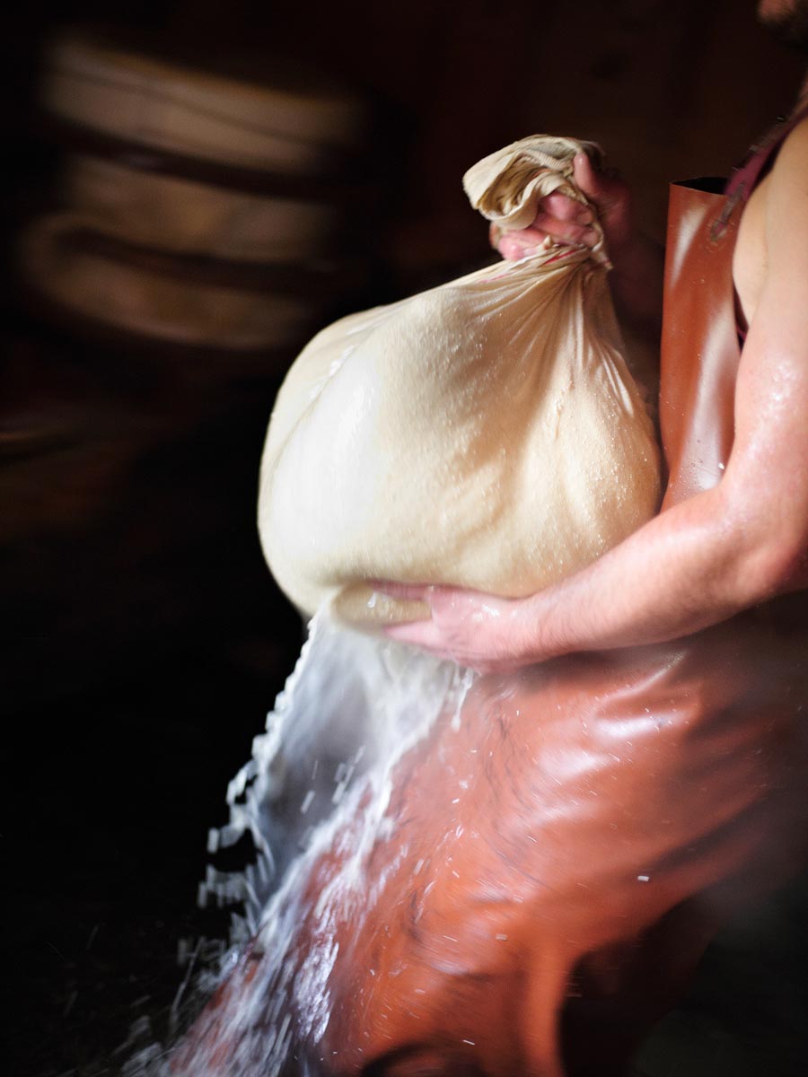 SABRINA ROTHE photography