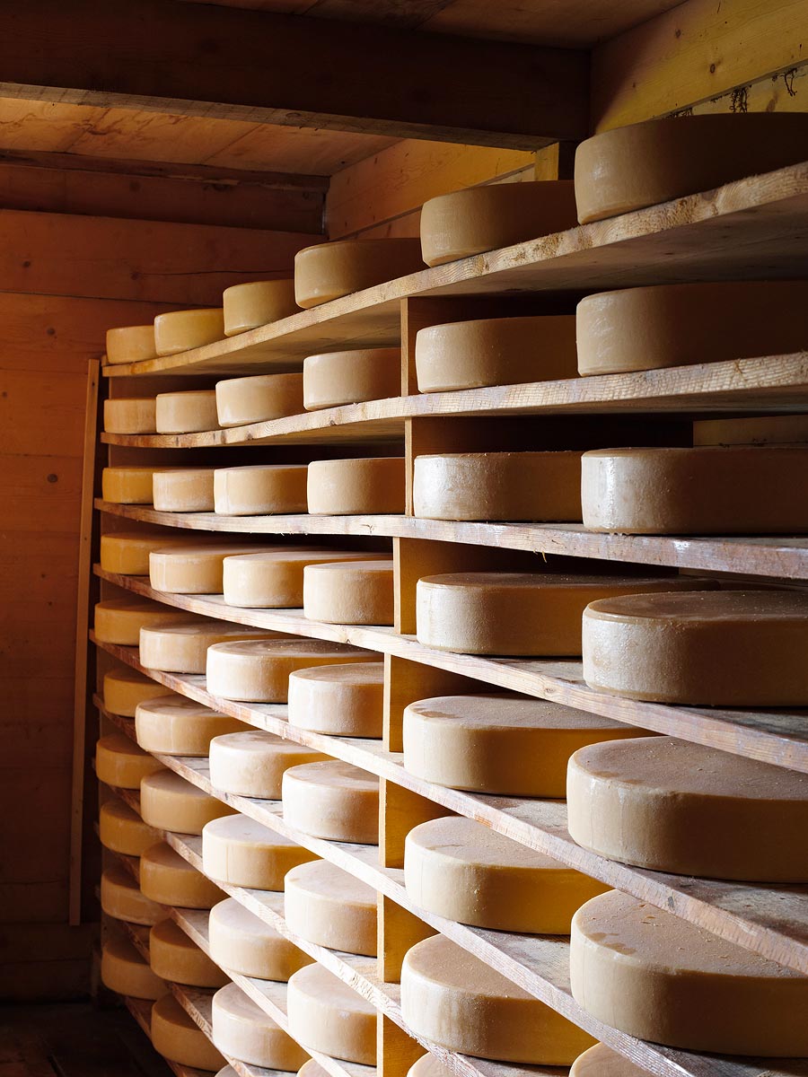 SABRINA ROTHE photography