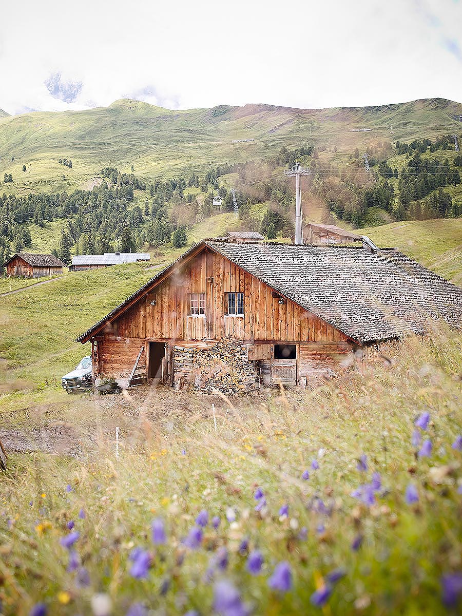 SABRINA ROTHE photography