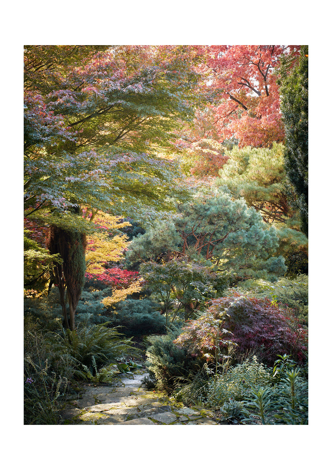 SABRINA ROTHE photography