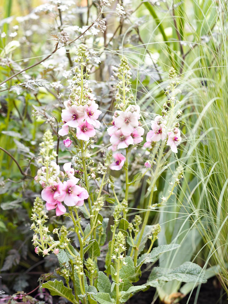 SABRINA ROTHE photography