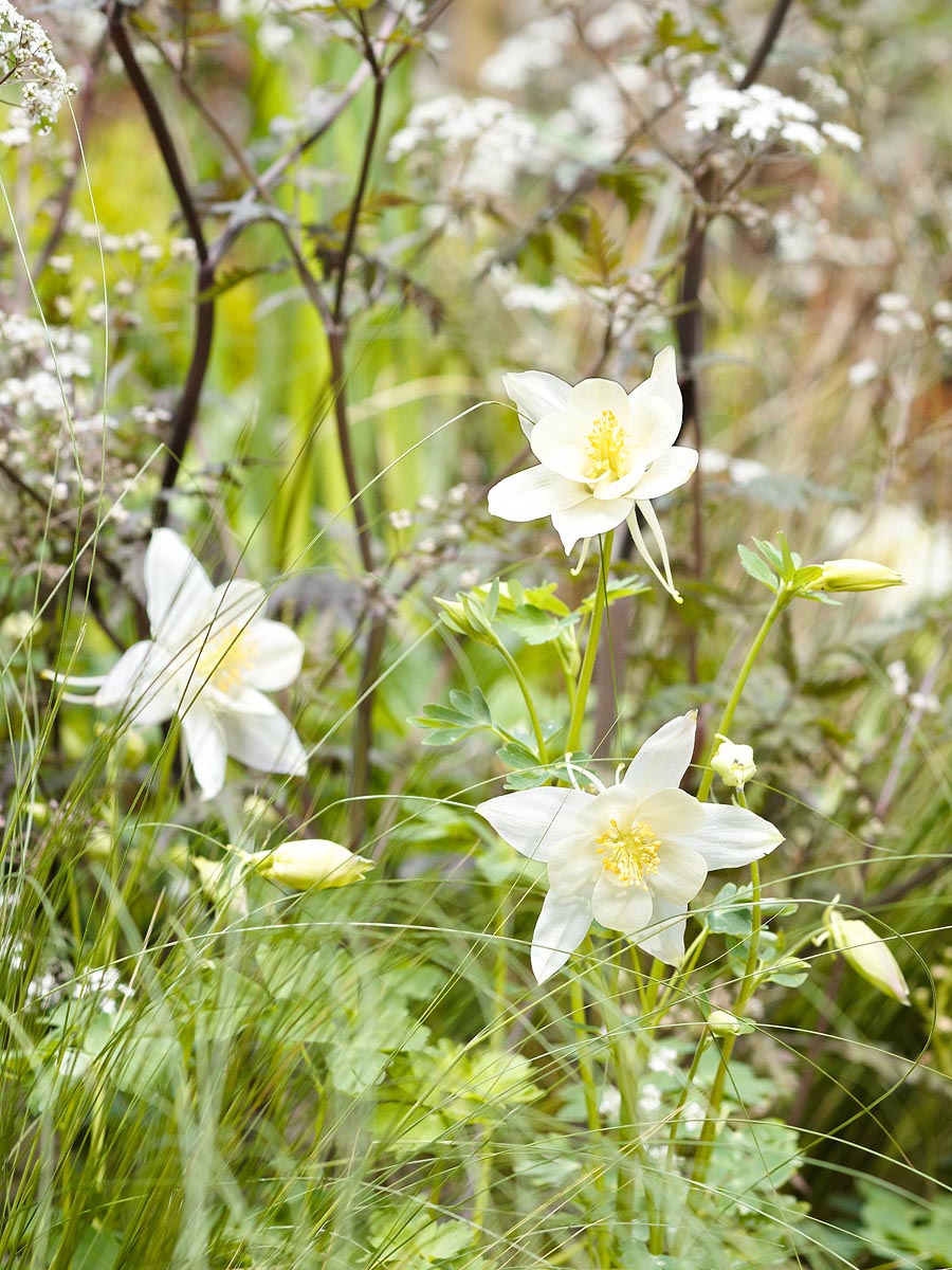 SABRINA ROTHE photography