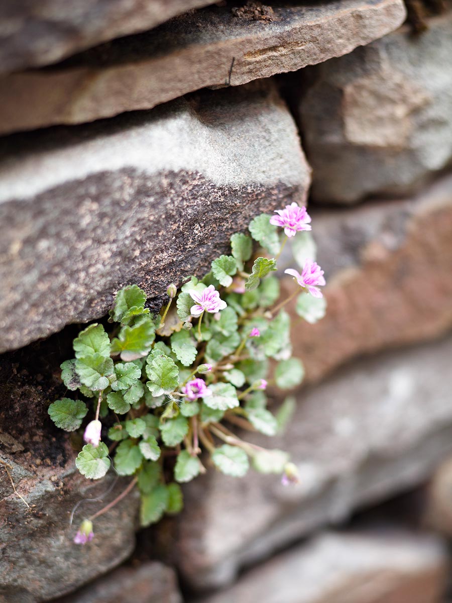 SABRINA ROTHE photography