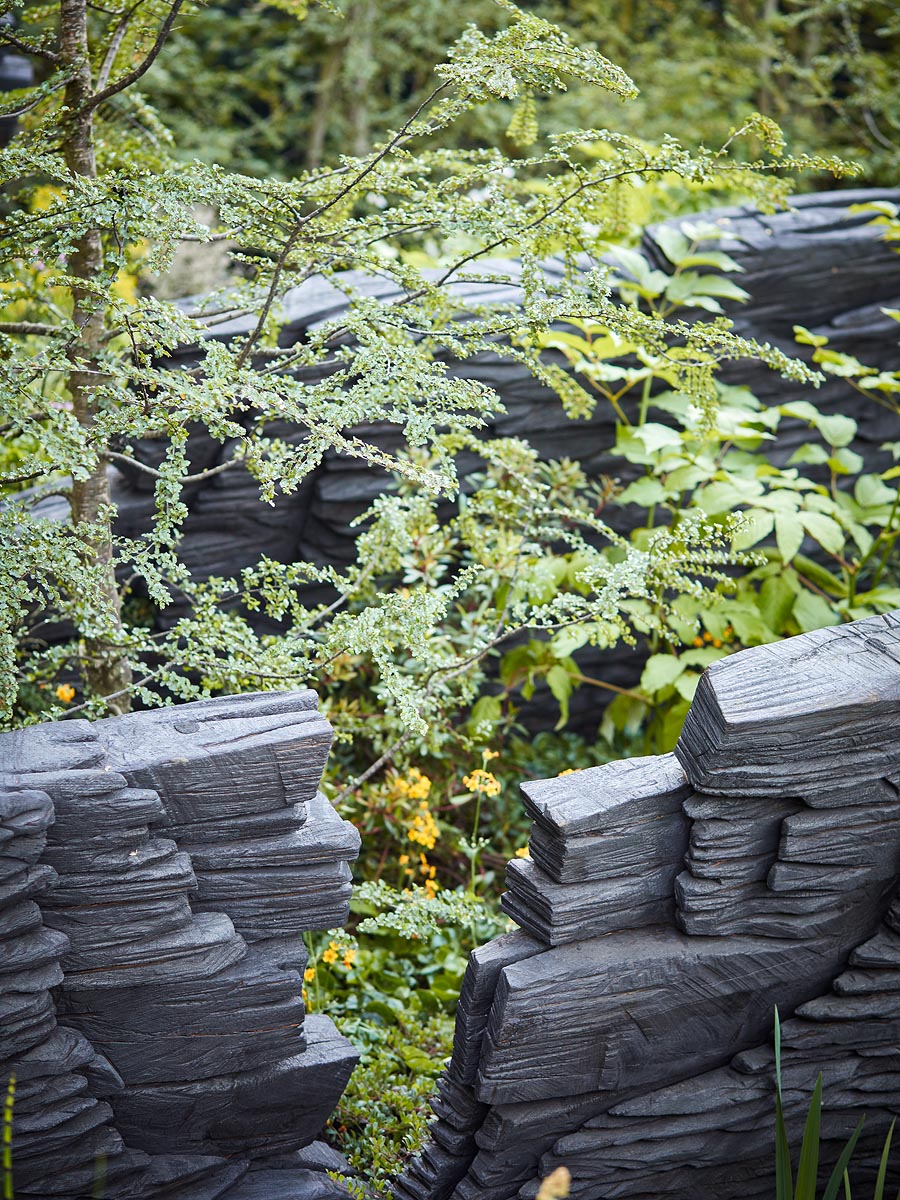 SABRINA ROTHE photography