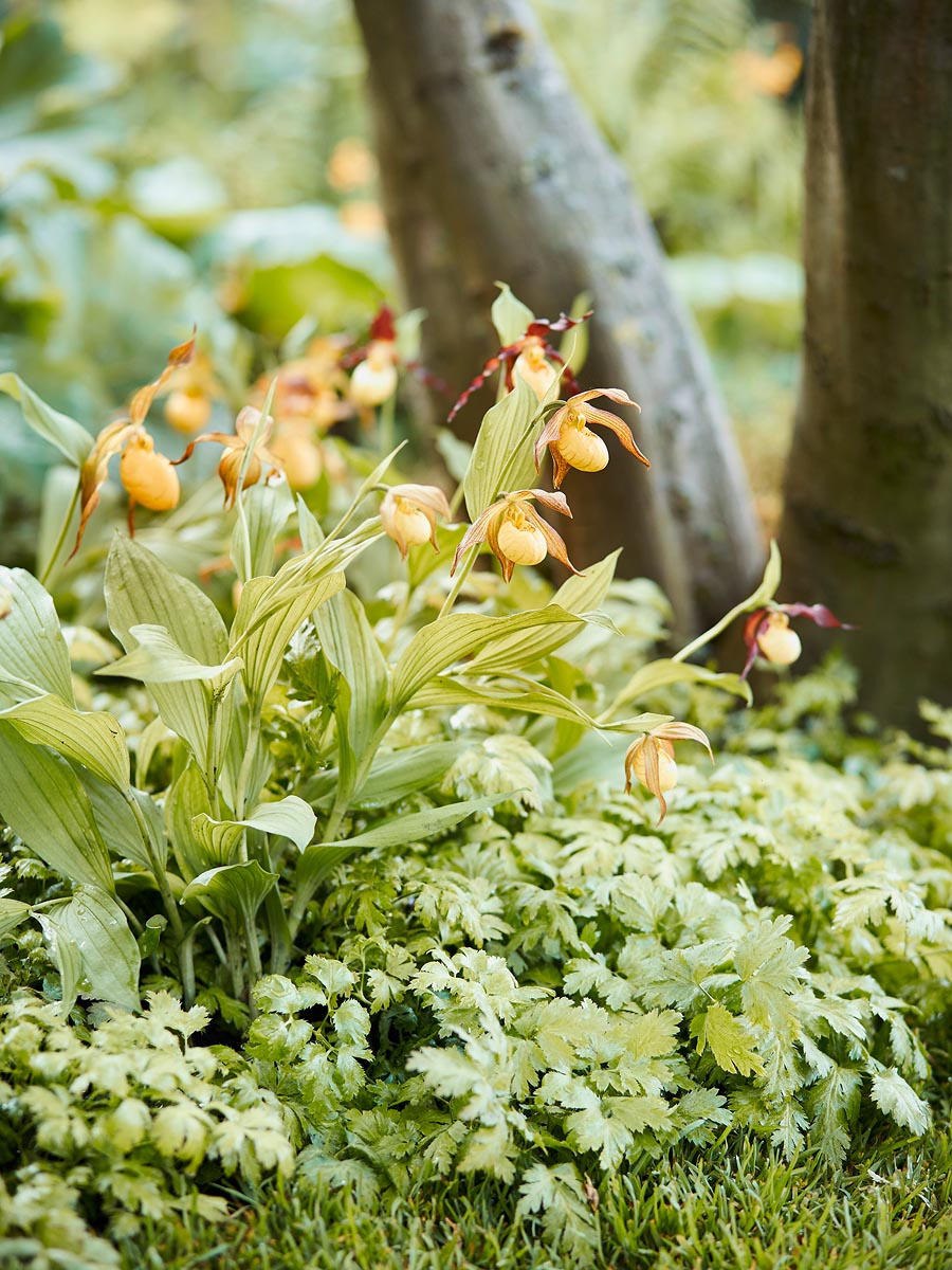 SABRINA ROTHE photography