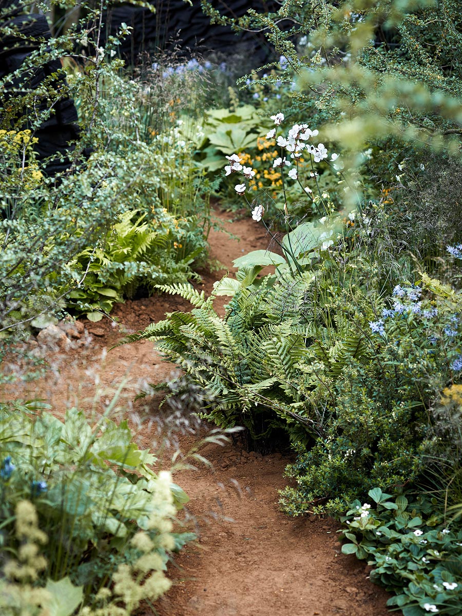 SABRINA ROTHE photography