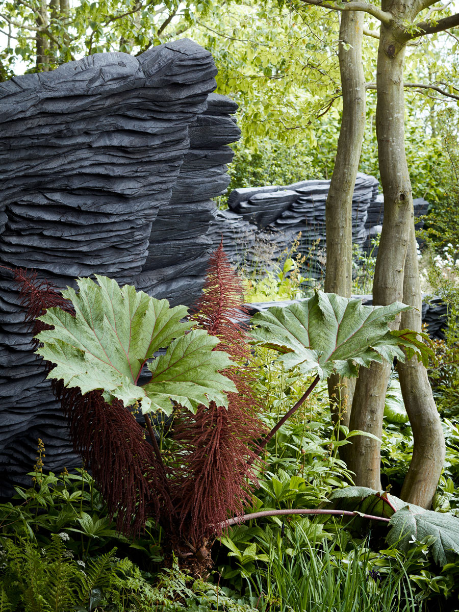 SABRINA ROTHE photography