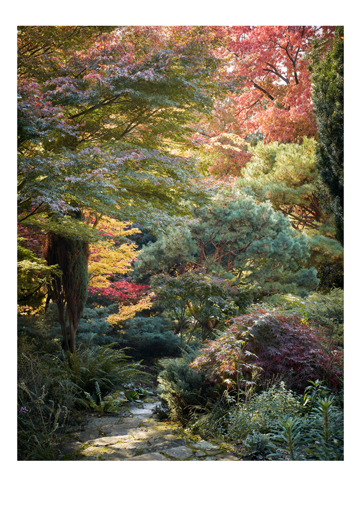 SABRINA ROTHE photography