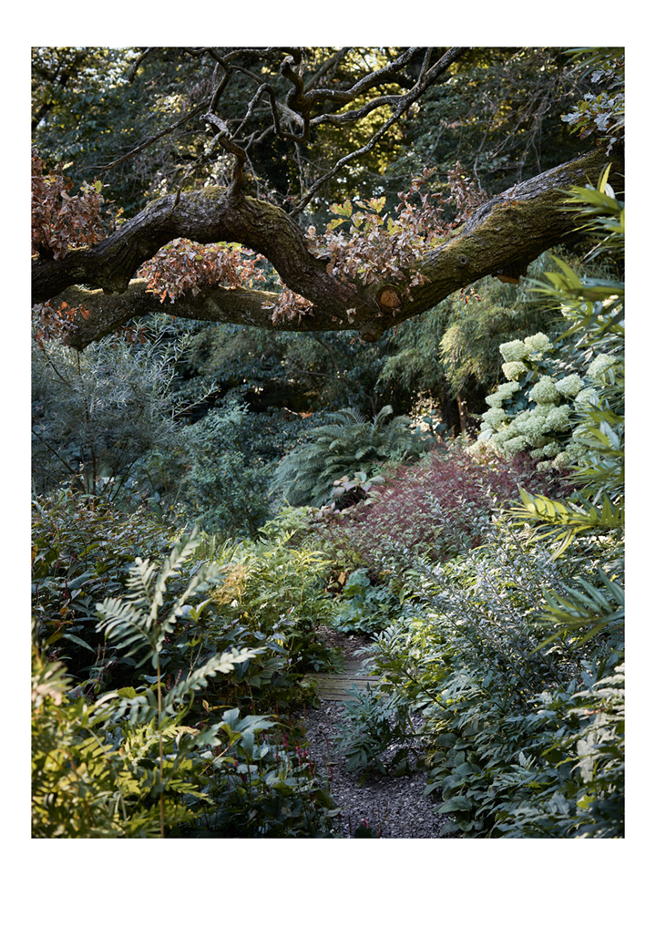 SABRINA ROTHE photography