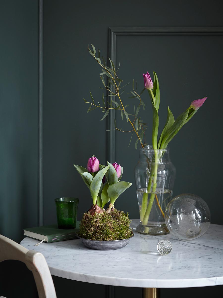 SABRINA ROTHE photography