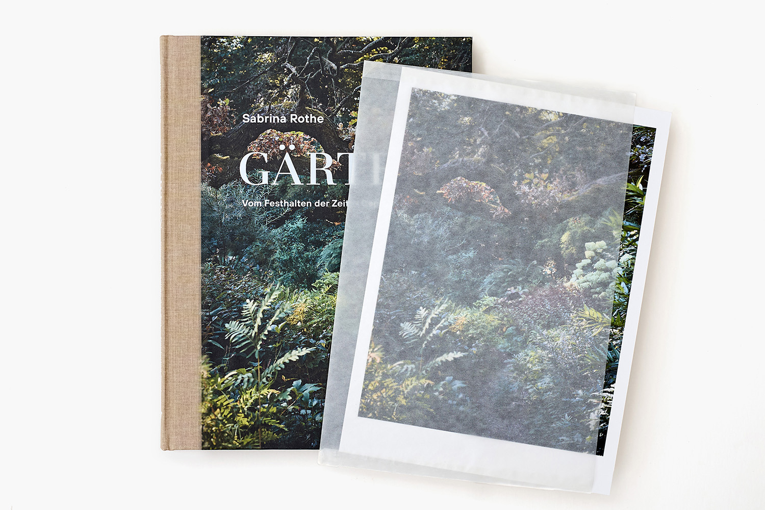 SABRINA ROTHE photography