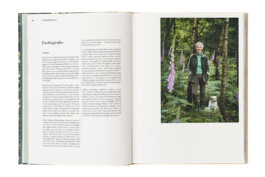 SABRINA ROTHE photography