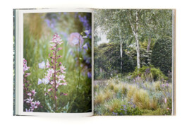 SABRINA ROTHE photography