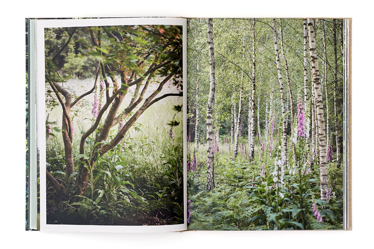 SABRINA ROTHE photography