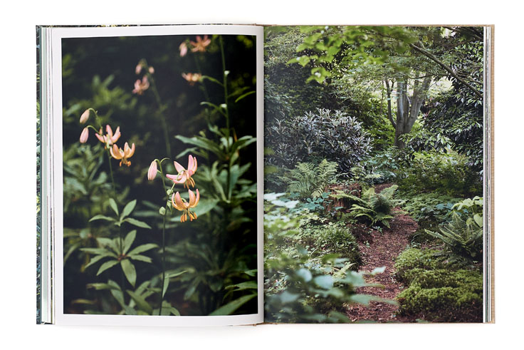 SABRINA ROTHE photography