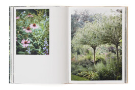 SABRINA ROTHE photography