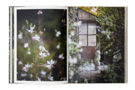 SABRINA ROTHE photography