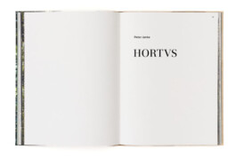 SABRINA ROTHE photography