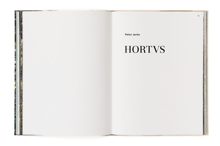 SABRINA ROTHE photography