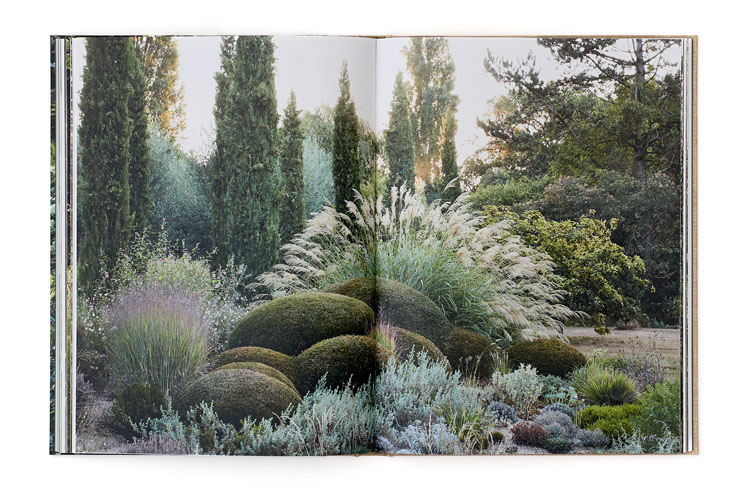 SABRINA ROTHE photography