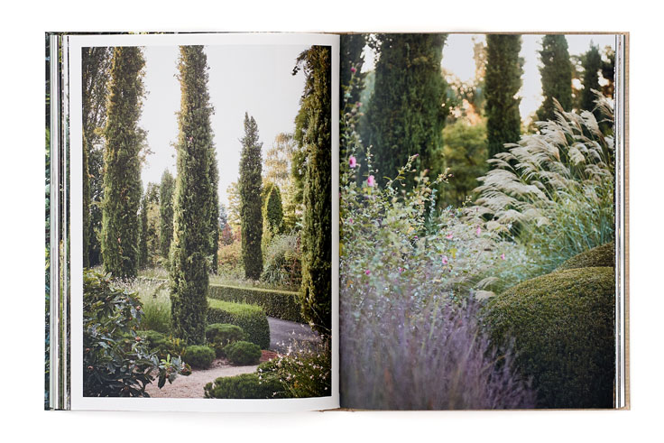 SABRINA ROTHE photography