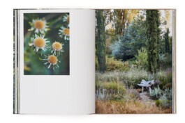 SABRINA ROTHE photography