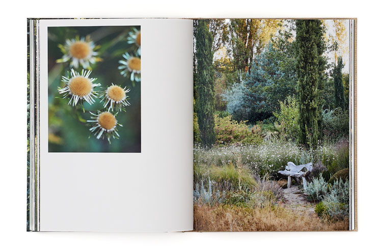 SABRINA ROTHE photography