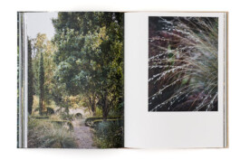 SABRINA ROTHE photography