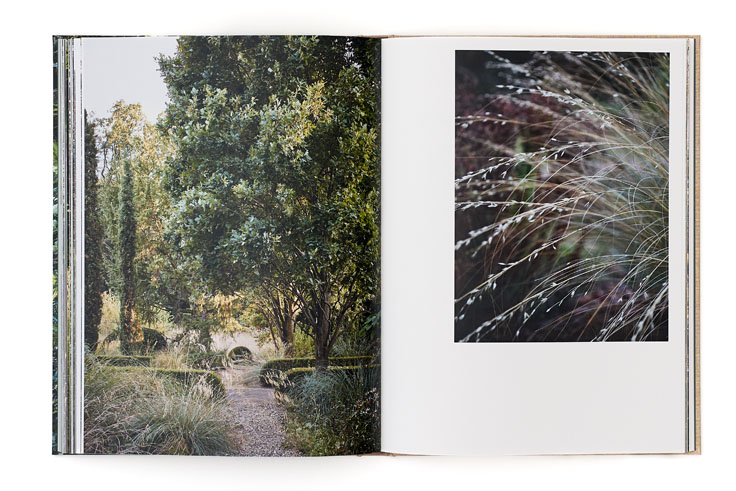 SABRINA ROTHE photography