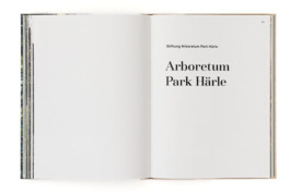 SABRINA ROTHE photography