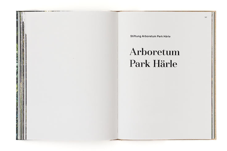 SABRINA ROTHE photography