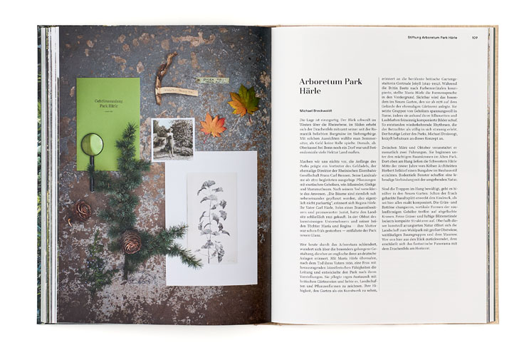 SABRINA ROTHE photography